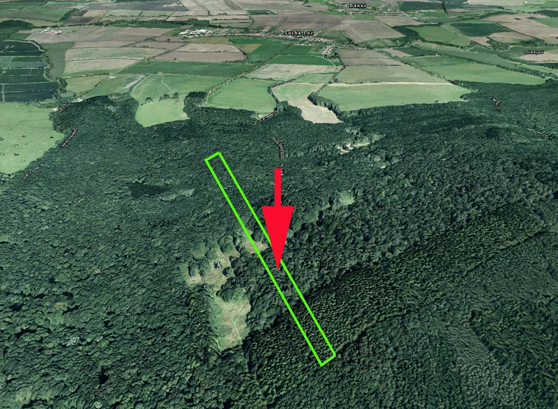 Prodej lesa 10956 m²